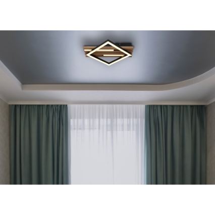 Globo - Светодиодный потолочный светильник LED/19W/230V 3000K 31x33 см