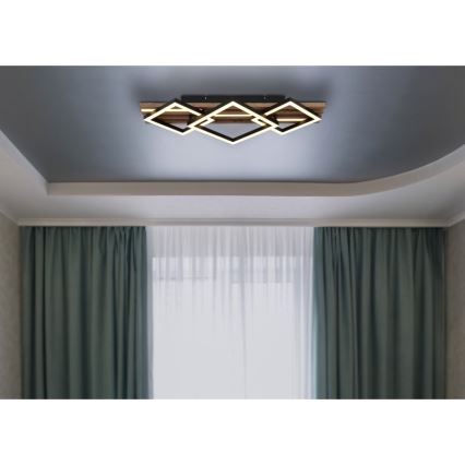 Globo - LED стельовий світильник LED/24W/230V + LED/8W 3000K 31x61cm