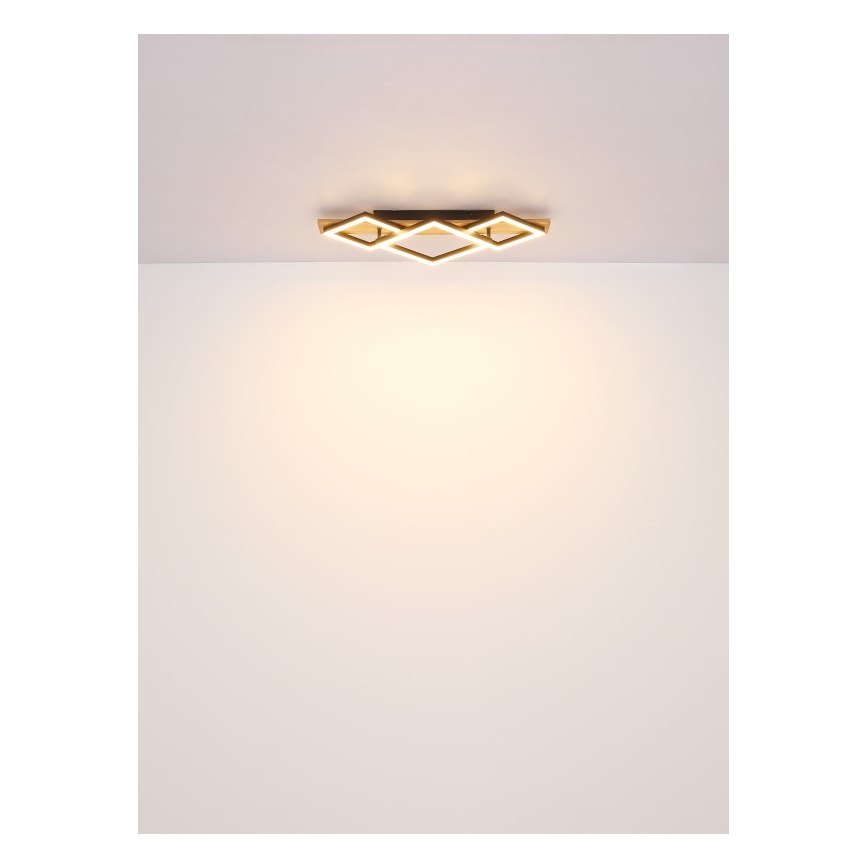 Globo - LED стельовий світильник LED/24W/230V + LED/8W 3000K 31x61cm