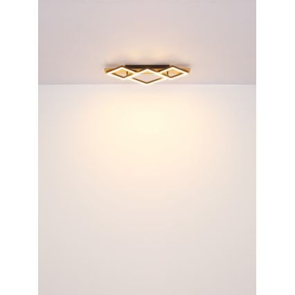 Globo - Стельовий LED світильник LED/32W/230V 3000K 31x61см