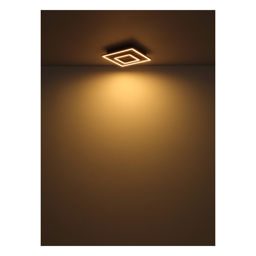 Globo - Стельовий LED світильник LED/18W/230V 3000K 30x30 см