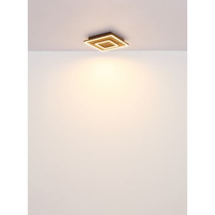 Globo - Стельовий LED світильник LED/18W/230V 3000K 30x30 см