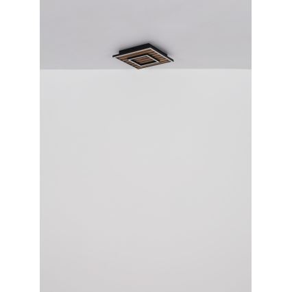 Globo - Стельовий LED світильник LED/18W/230V 3000K 30x30 см