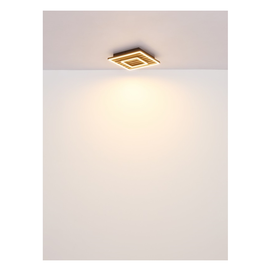 Globo - Светодиодный потолочный светильник LED/18W/230V 3000K 30x30 см