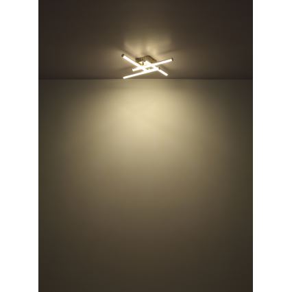 Globo - Светодиодный потолочный светильник LED/24W/230V 4000K матовый хром