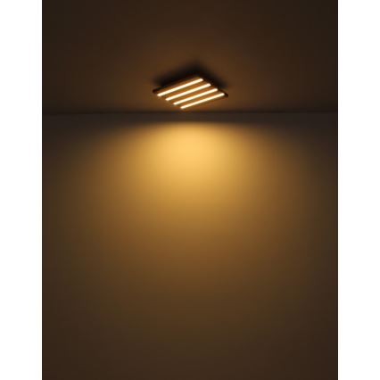 Globo - светодиодный потолочный светильник LED/15 Вт/230 В 3000 К 30x30 см