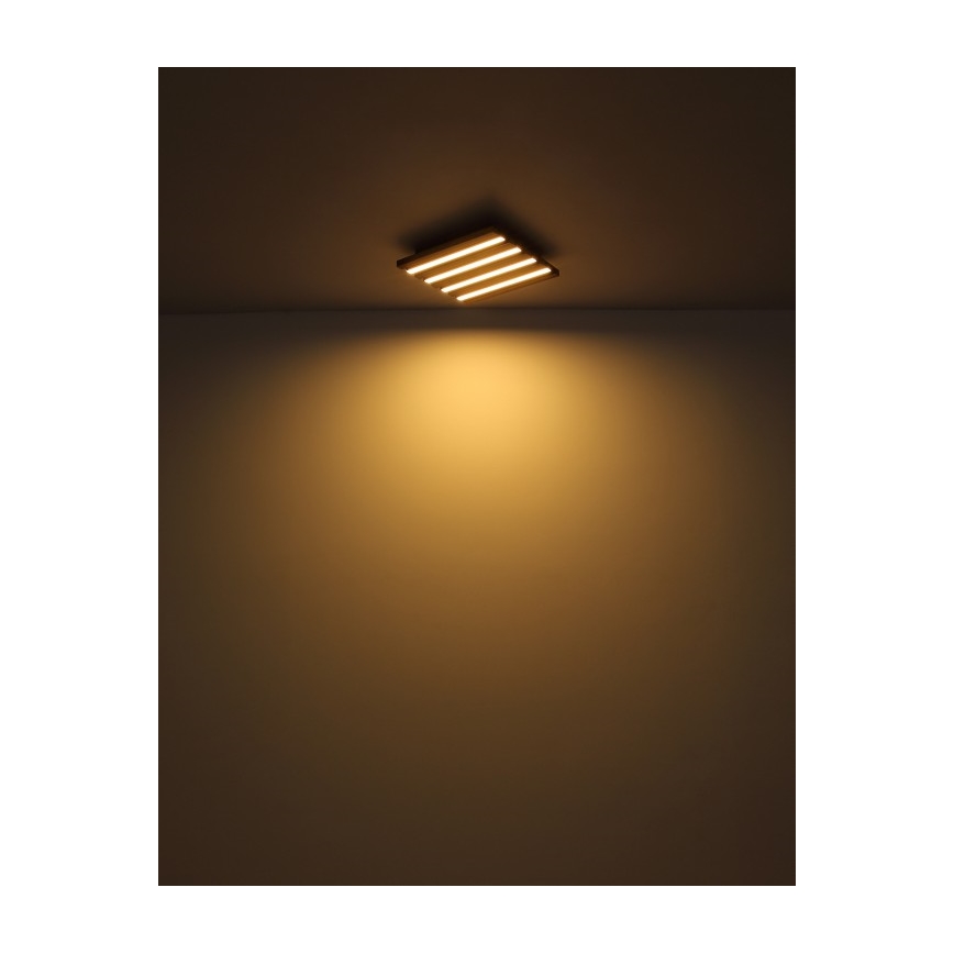 Globo - светодиодный потолочный светильник LED/15 Вт/230 В 3000 К 30x30 см