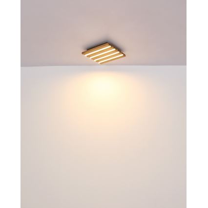 Globo - светодиодный потолочный светильник LED/15 Вт/230 В 3000 К 30x30 см