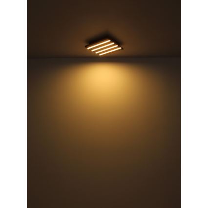 Globo - Стельовий LED світильник LED/30W/230V 3000K 45x45 см дерево