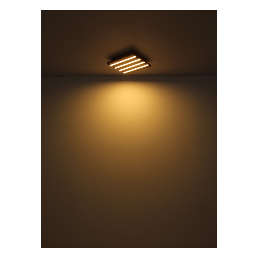 Globo - Стельовий LED світильник LED/30W/230V 3000K 45x45 см дерево
