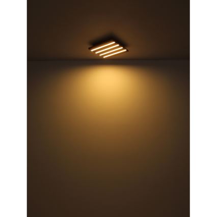 Globo - Стельовий LED світильник LED/30W/230V 3000K 80x20 см дерево