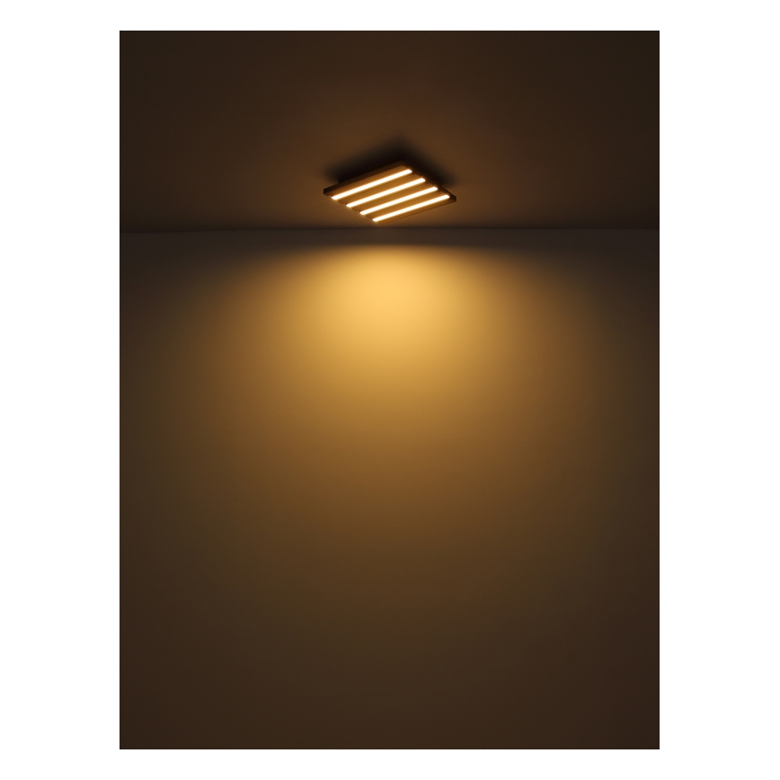 Globo - Стельовий LED світильник LED/30W/230V 3000K 80x20 см дерево