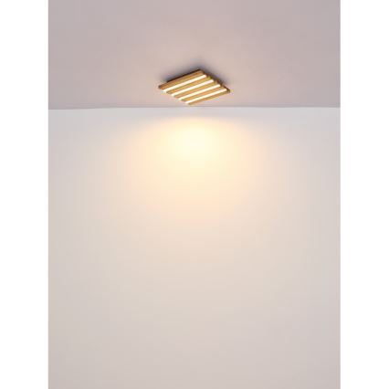 Globo - Стельовий LED світильник LED/30W/230V 3000K 80x20 см дерево