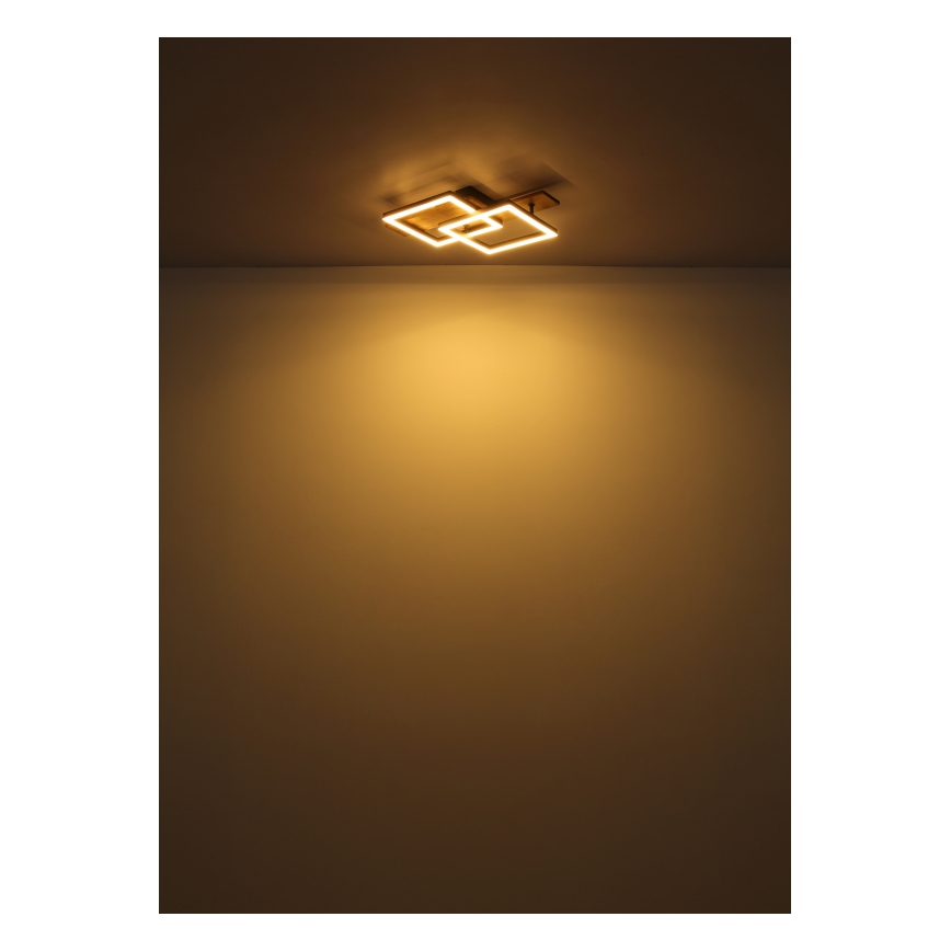 Globo - потолочный светильник LED, 16 Вт, 230 В, 3000 К, 33x44 см