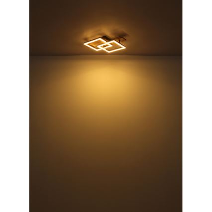 Globo - потолочный светильник LED, 16 Вт, 230 В, 3000 К, 33x44 см