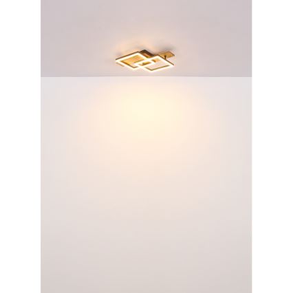 Globo - потолочный светильник LED, 16 Вт, 230 В, 3000 К, 33x44 см