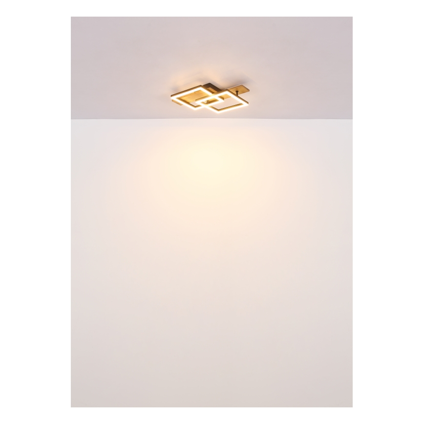 Globo - потолочный светильник LED, 16 Вт, 230 В, 3000 К, 33x44 см