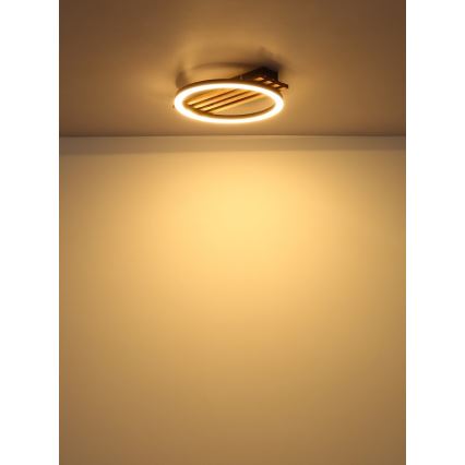 Globo - Светодиодный потолочный светильник LED/12W/230V 3000K 30x34 см
