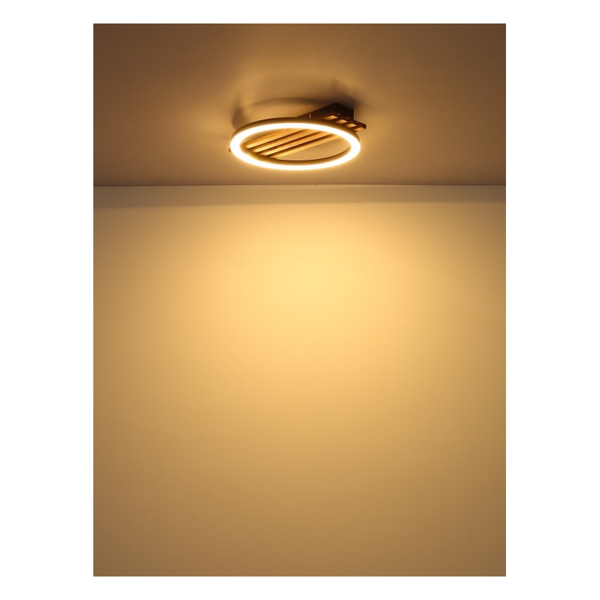Globo - Светодиодный потолочный светильник LED/12W/230V 3000K 30x34 см