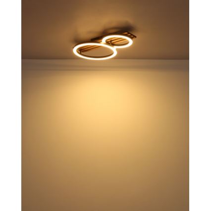 Globo - Светодиодный потолочный светильник LED/18W/230V 3000K 30x48 см
