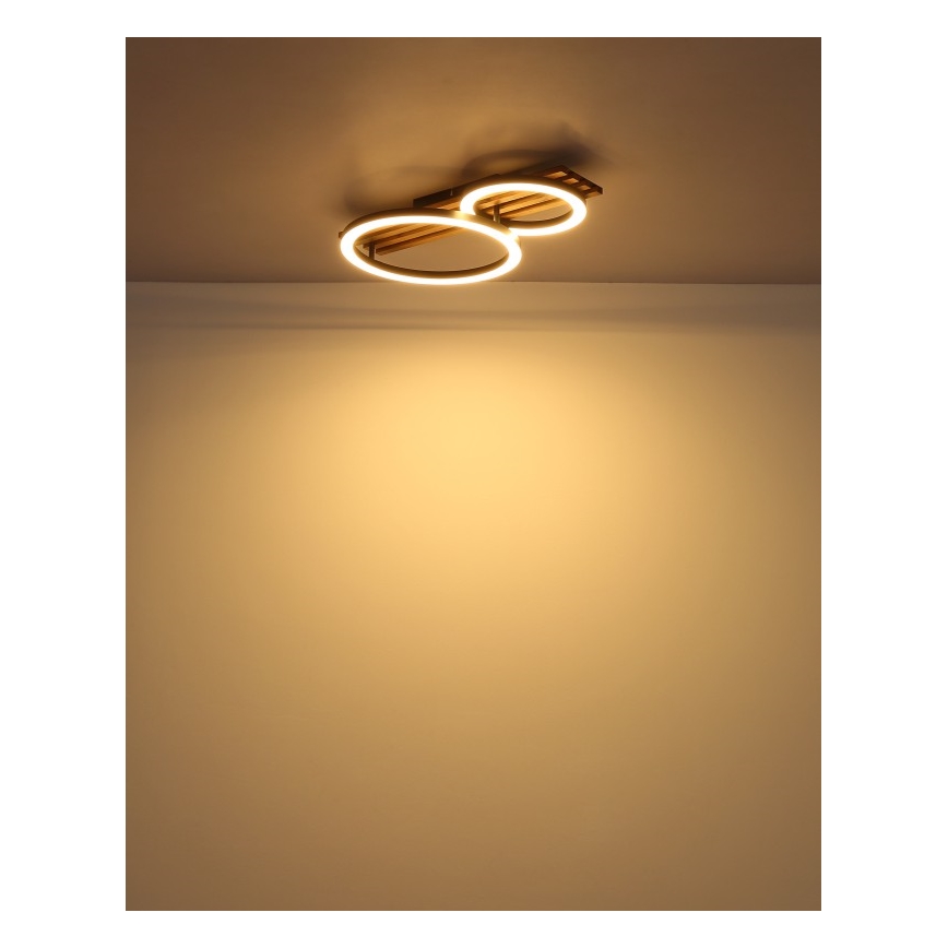 Globo - Светодиодный потолочный светильник LED/18W/230V 3000K 30x48 см