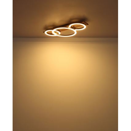 Globo - Стельовий LED світильник LED/24W/230V 3000K 30x62 см