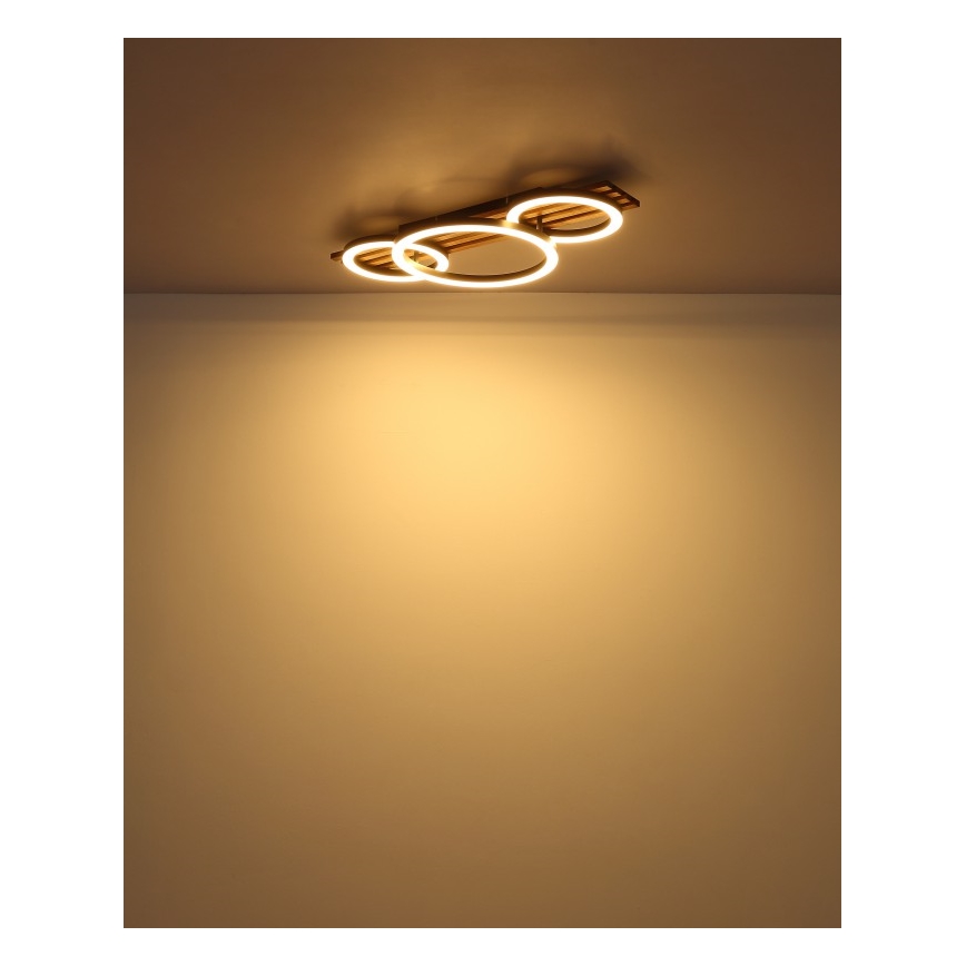 Globo - Стельовий LED світильник LED/24W/230V 3000K 30x62 см