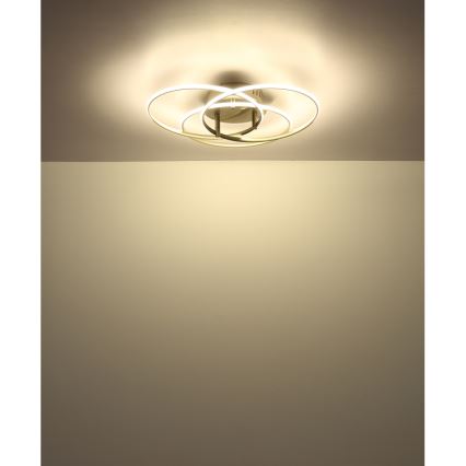 Globo - Стельовий LED світильник LED/40W/230V 4000K діаметр 45,6 см матовий хром