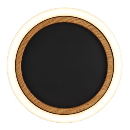 Globo - LED стельовий світильник LED/12W/230V 3000K діам. 20,5 см