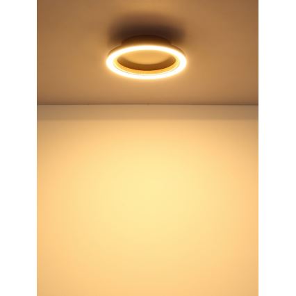 Globo - LED стельовий світильник LED/12W/230V 3000K діам. 20,5 см