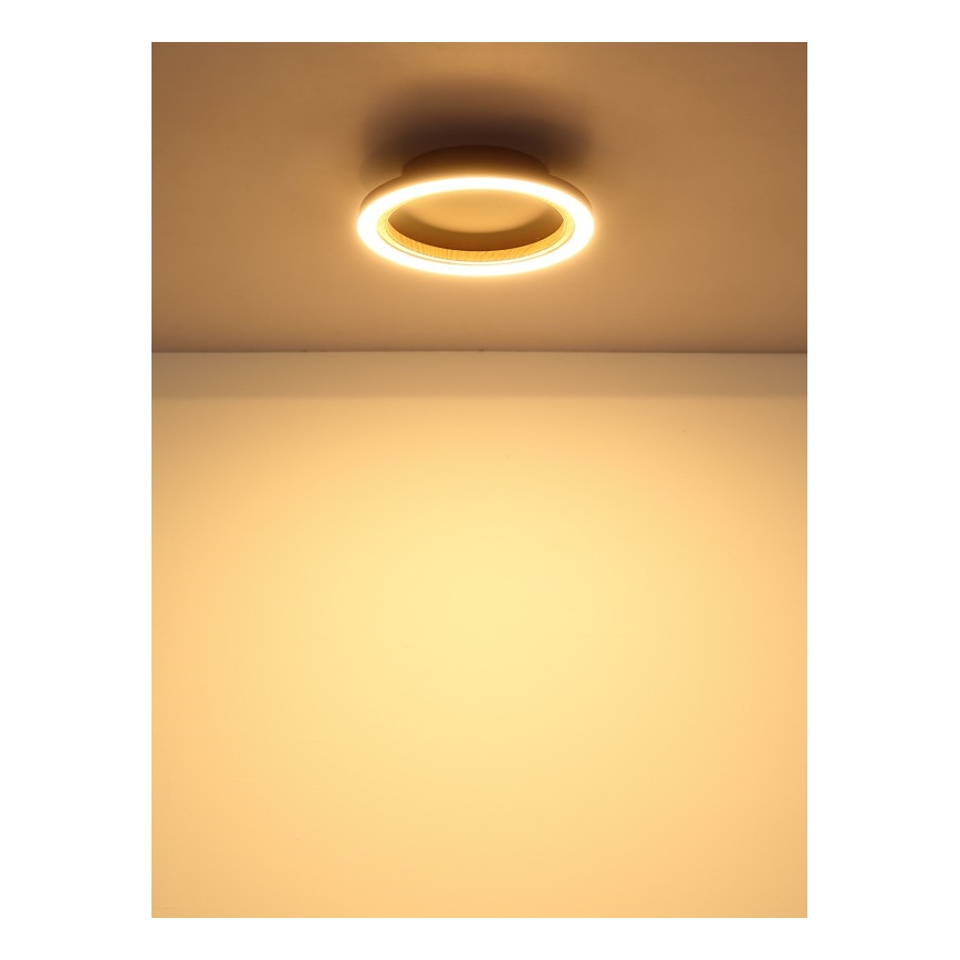 Globo - LED стельовий світильник LED/12W/230V 3000K діам. 20,5 см