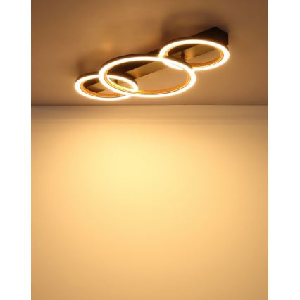 Globo - LED Потолочный светильник LED/40W/230V 3000K 58x30 cm