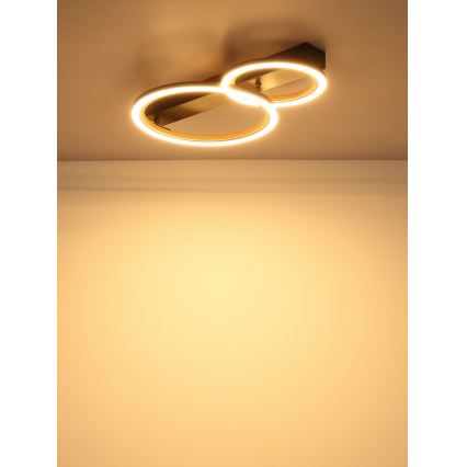 Globo - потолочный светильник LED/30W/230V 3000K 44x30 cm