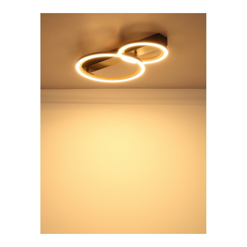 Globo - потолочный светильник LED/30W/230V 3000K 44x30 cm