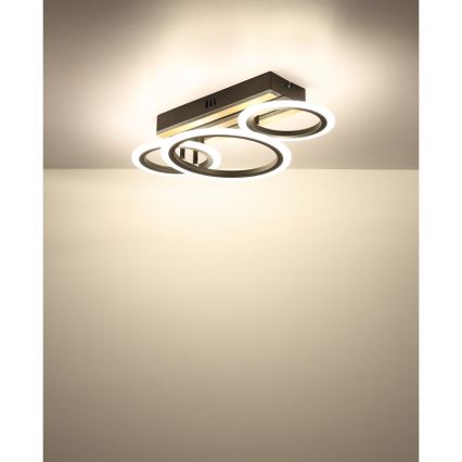 Globo - потолочный светильник LED, 21 Вт, 230 В, 3000/4200/600K, 25x46 см