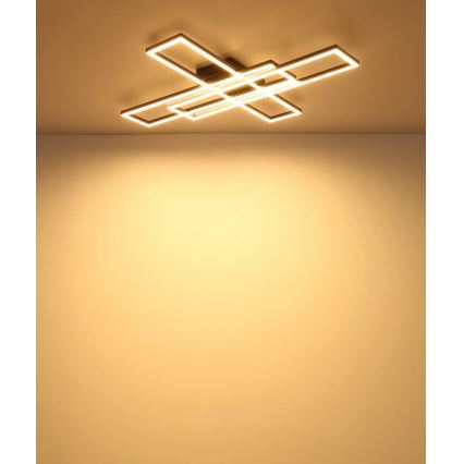 Globo - стельовий світильник LED/55 Вт/230 В 3000 К 80x60 см