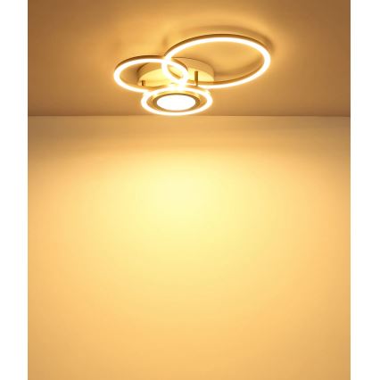 Globo - LED стельовий світильник LED/40W/230V 3000K 49x39 cm