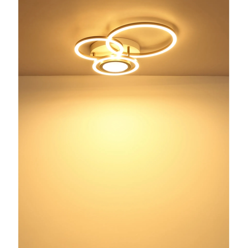 Globo - LED стельовий світильник LED/40W/230V 3000K 49x39 cm