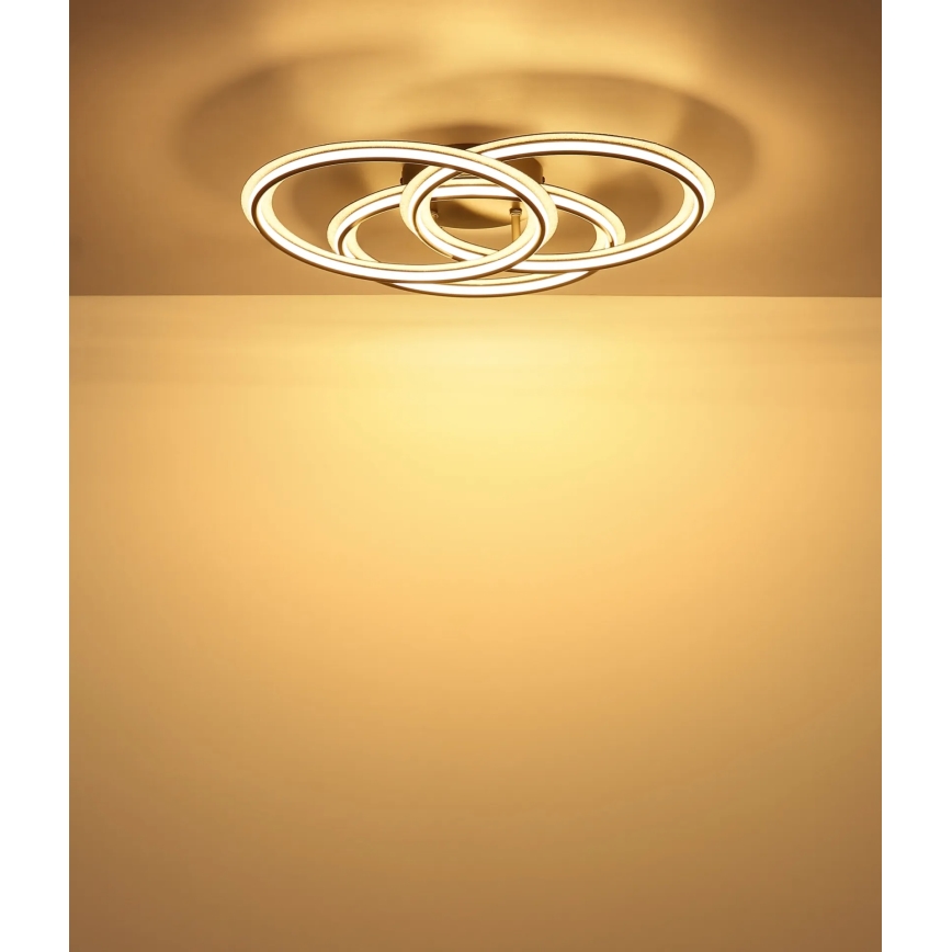 Globo - светодиодный потолочный светильник LED/40W/230V 3000K диам. 52 см