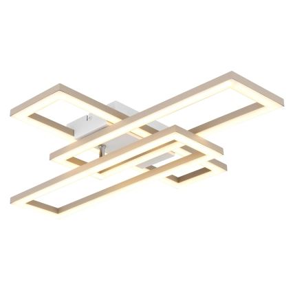 Globo - LED стельовий світильник LED/24W/230V 3000/4000/6000K