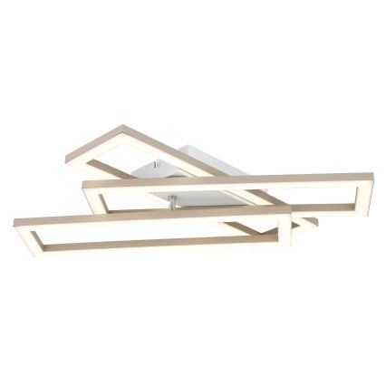 Globo - LED стельовий світильник LED/24W/230V 3000/4000/6000K