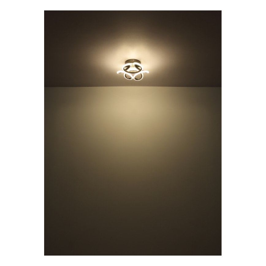 Globo - Светодиодный потолочный светильник LED/24Вт/230В 2700/4000/6000К диаметр 26 см черный