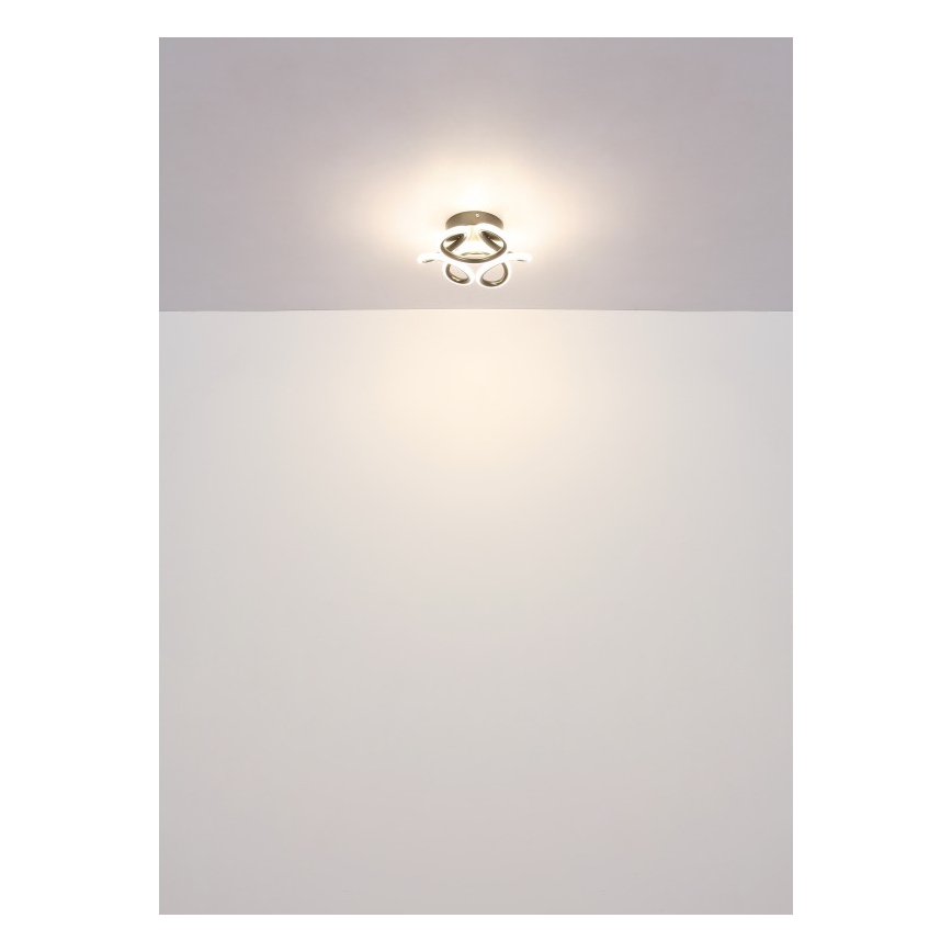 Globo - Светодиодный потолочный светильник LED/24W/230V 2700/4000/6000K диаметр 26 см черный