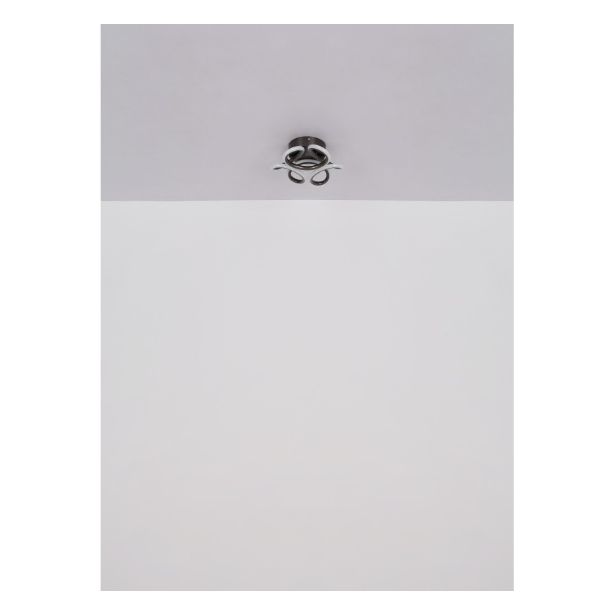 Globo - Светодиодный потолочный светильник LED/24W/230V 2700/4000/6000K диаметр 26 см черный