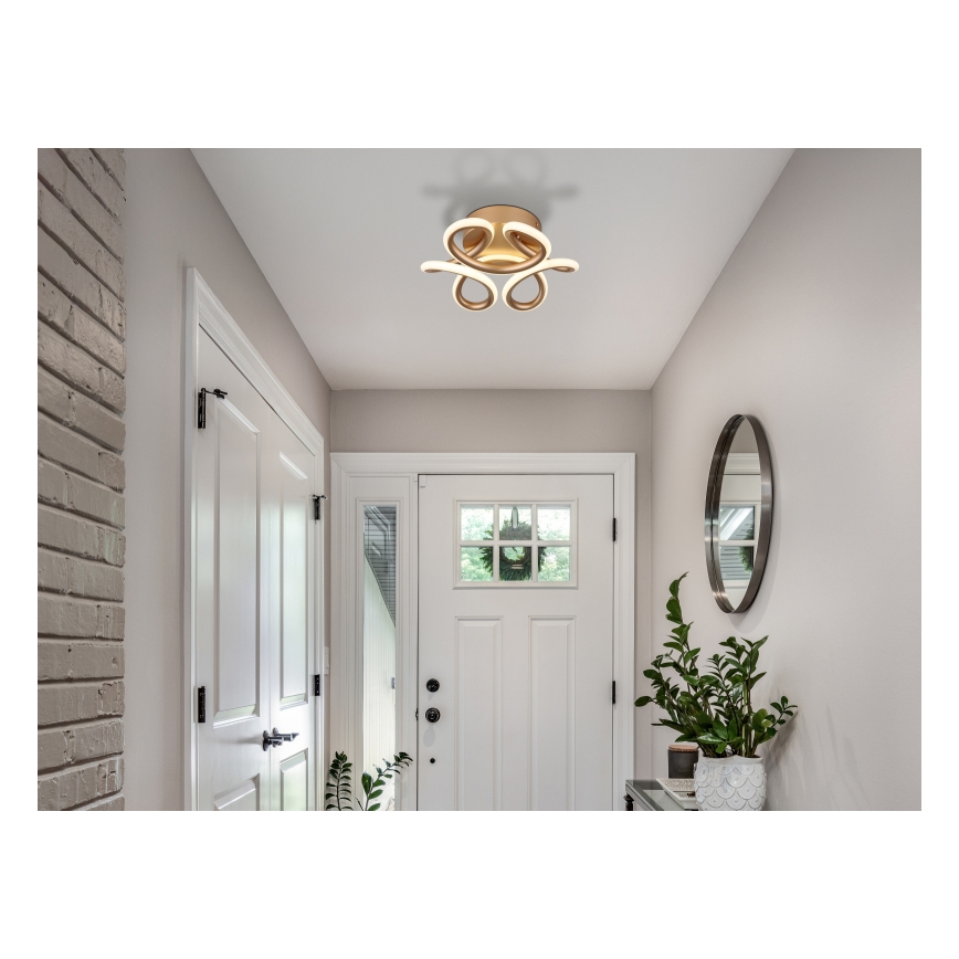 Globo - Стельовий LED світильник LED/24W/230V 2700/4000/6000K діаметр 26 см золотий