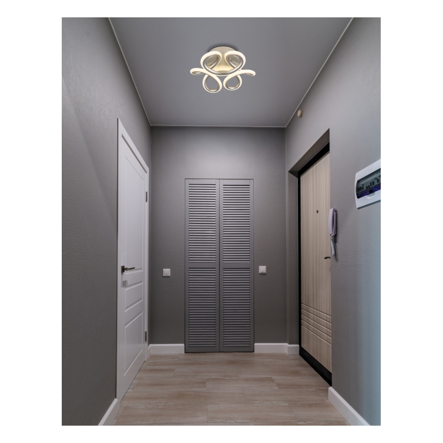 Globo - Светодиодный потолочный светильник LED/24W/230V 2700/4000/6000K диаметр 26 см матовый хром