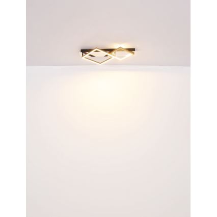 Globo - Стельовий LED світильник LED/24W/230V 3000K