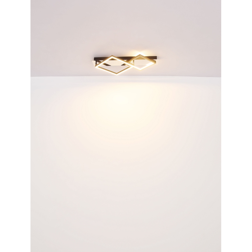 Globo - Стельовий LED світильник LED/24W/230V 3000K