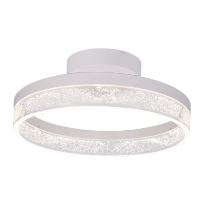 Globo - Світлодіодний стельовий світильник LED/24W/230V
