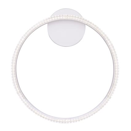 Globo - Світлодіодний стельовий світильник LED/24W/230V